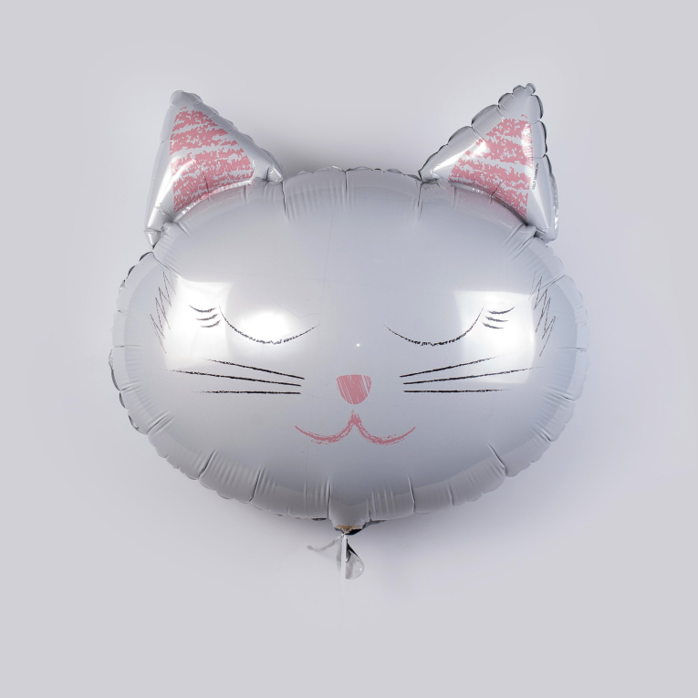 Воздушный шар «Кот День-Ночь» Воздушный шар «Кот День-Ночь»