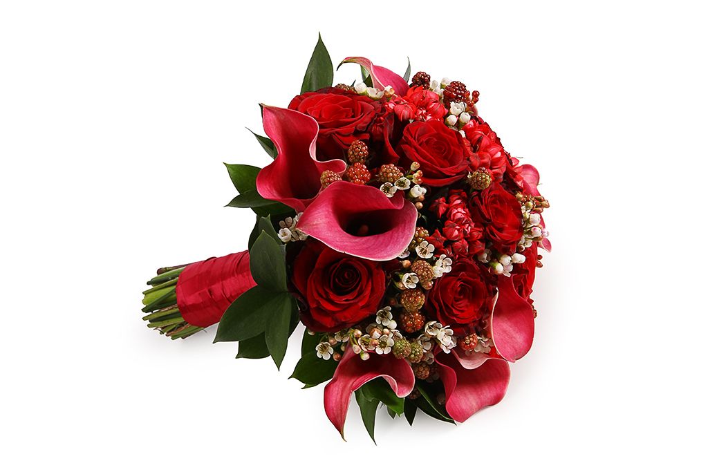 Букет невесты с красными каллами Великая Афродита петуния афродита пурпурная f1