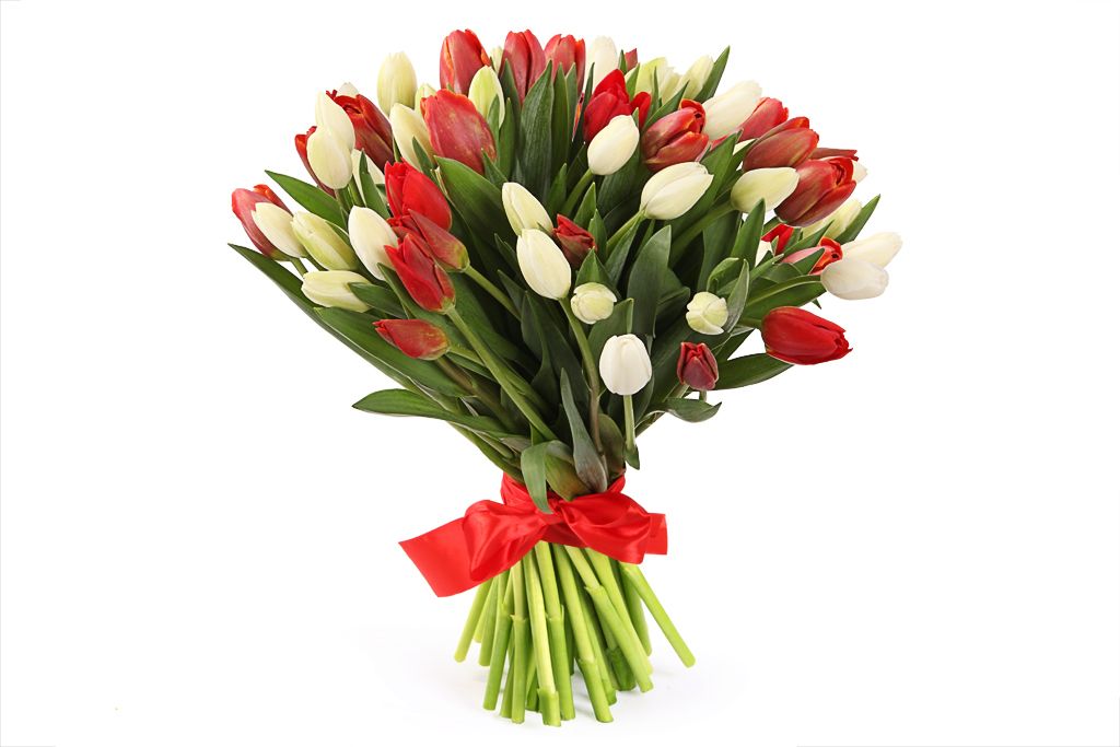 Букет 51 тюльпан, красно-белый микс букет весенняя палитра красно белая