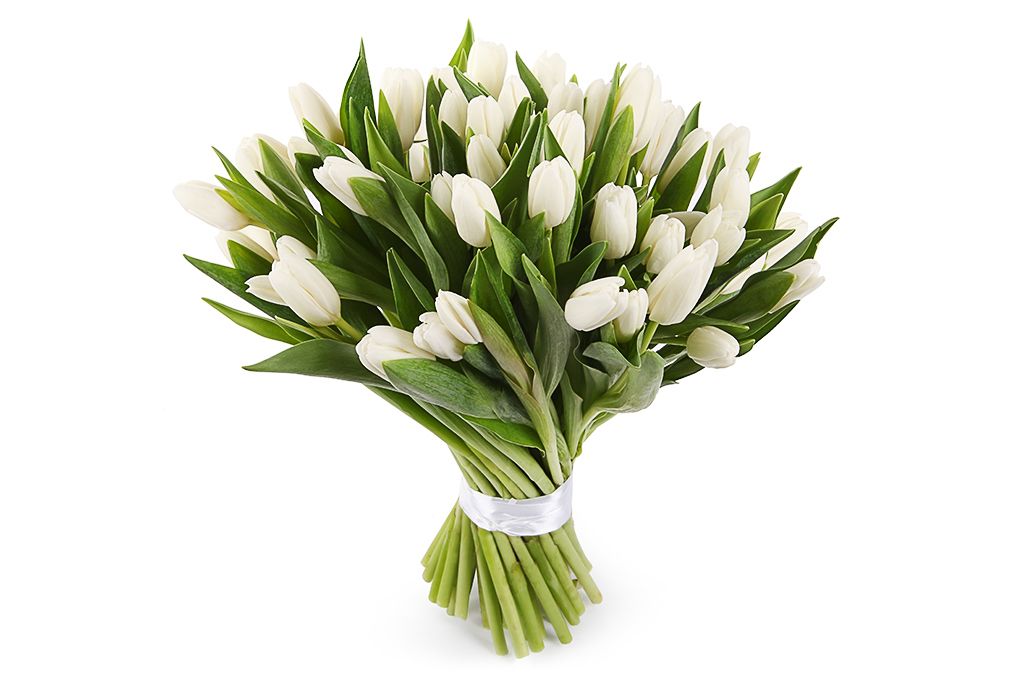 Букет 51 тюльпан, белые семечки от мартина отборные белые соленые 100 г