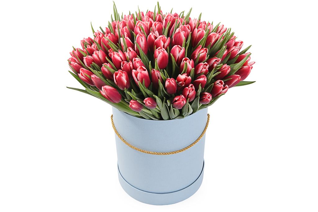 Букет 101 королевский тюльпан в голубой коробке, алые тюльпан атлантис 1 уп 3шт фракция 12