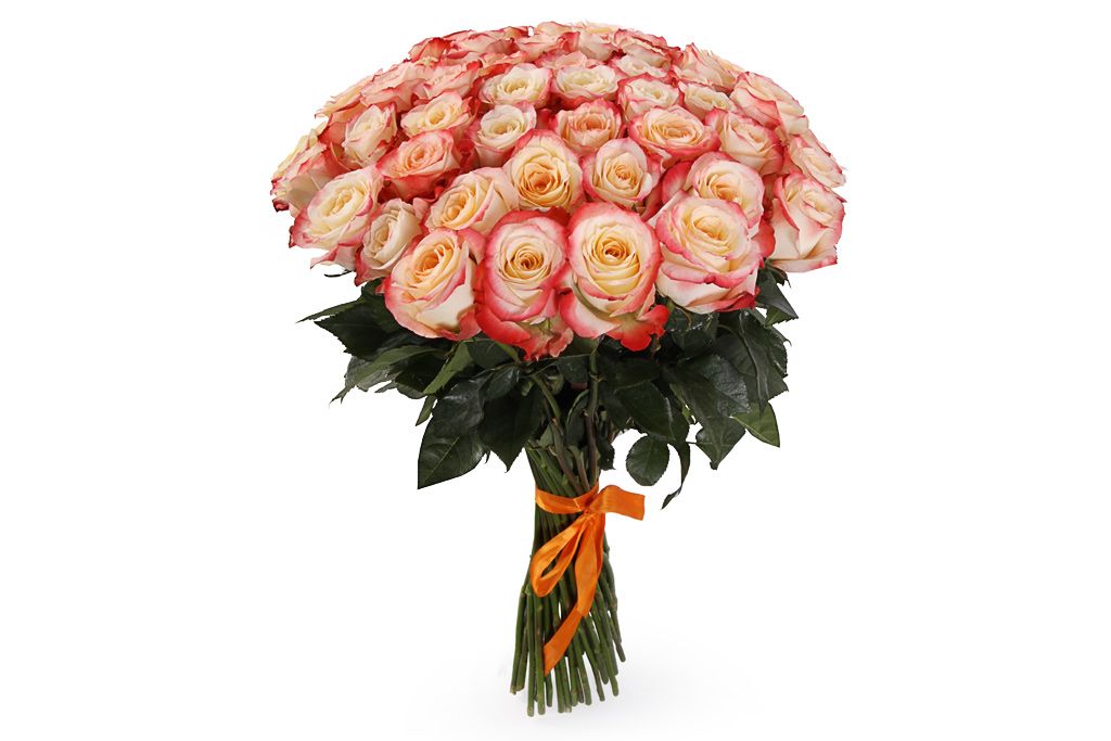Букет 51 роза Кабаре пеларгония кабаре f2 смесь окрасок