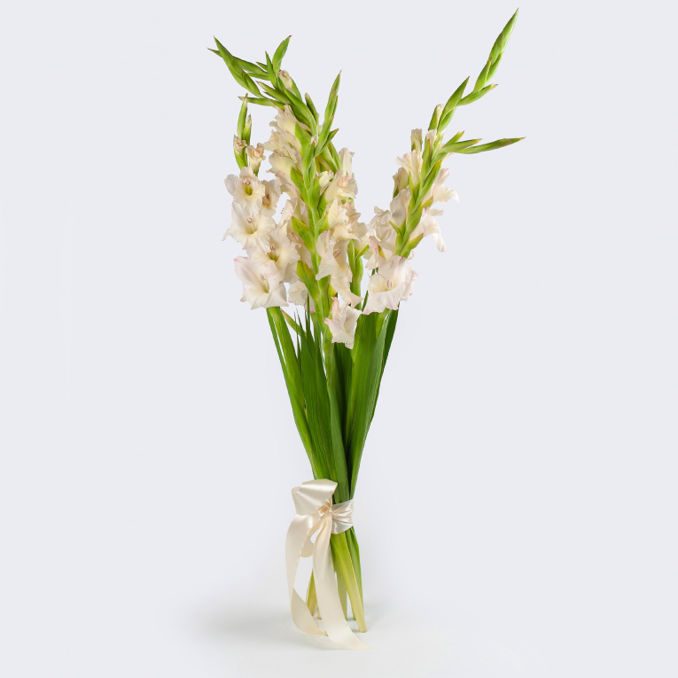 Букет гладиолусов Белые стрелы букет искусственный 36 см пвх белые цветы meadow