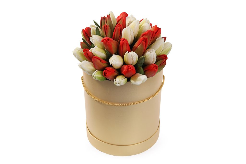 Букет 51 королевский тюльпан в золотой коробке, красно-белый микс