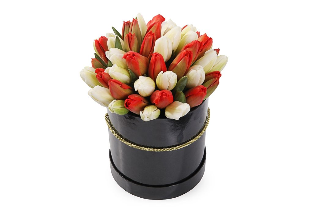Букет 51 королевский тюльпан в коробке, красно-белый микс резинка шляпная 2 мм 50 ± 1 м