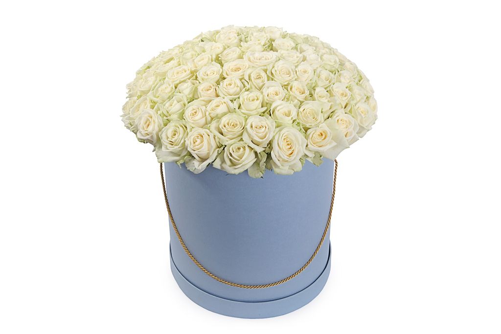 Букет 101 роза Аваланш в шляпной коробке шляпная коробка белая 10 х 10 см
