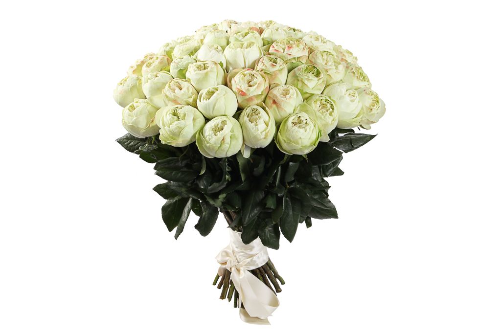 Букет 51 пионовидная роза Кахала (изумрудная) букет 51 роза аваланш 50 60 см