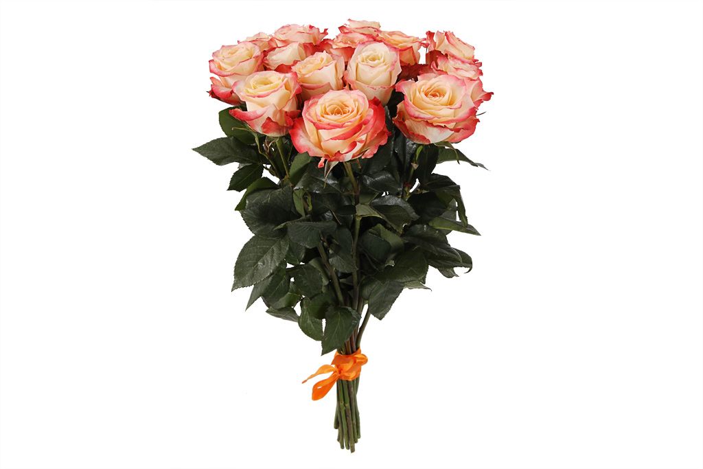 Букет 15 роз Кабаре пеларгония кабаре f2 смесь окрасок