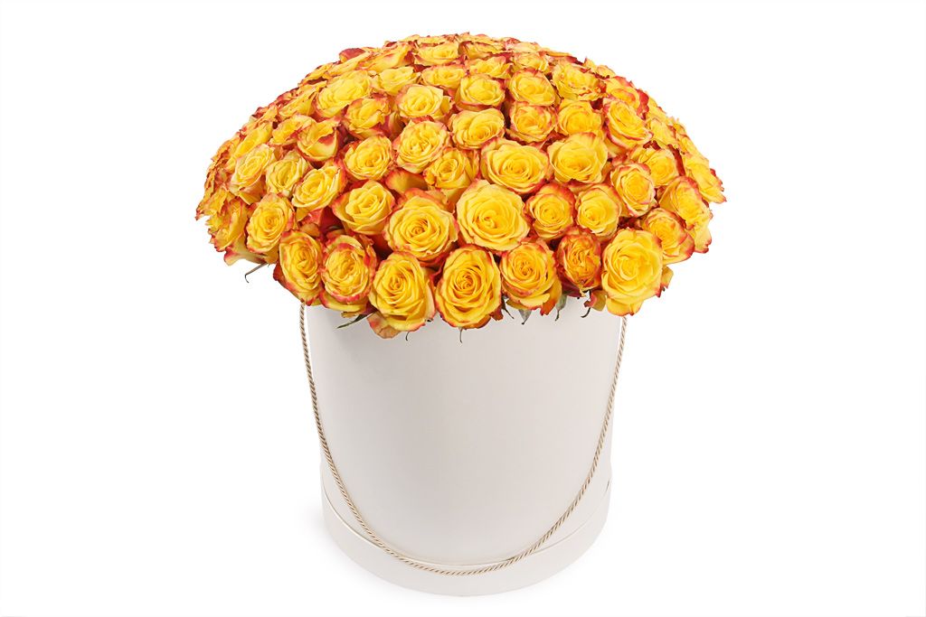 Букет 101 роза Хай Еллоу в шляпной коробке букет сады семирамиды в шляпной коробке