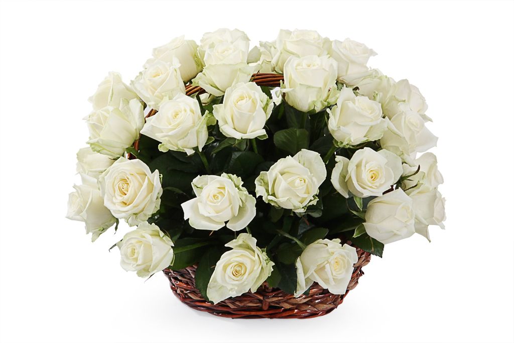 Букет 35 роз Аваланш в корзине комплект аваланш размер евро с простыней 180 см