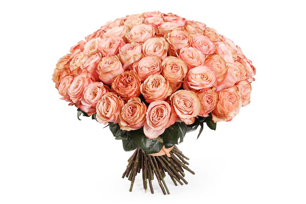 Букет 101 пионовидная роза Кахала букет 51 роза аваланш 50 60 см