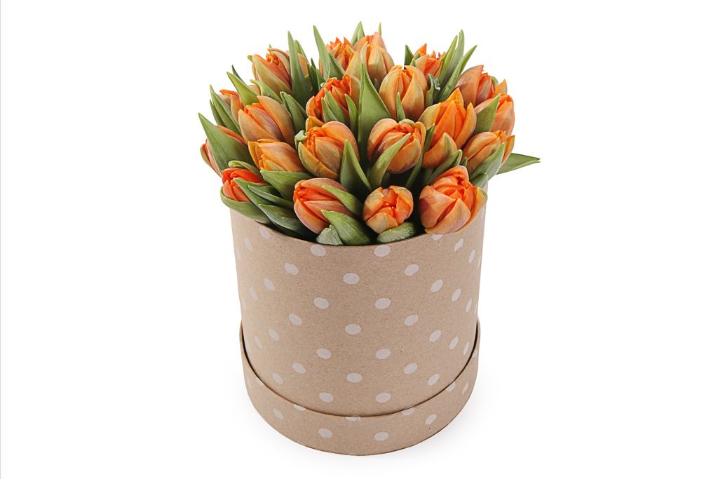 Букет 25 тюльпанов в коробке, оранжевые шляпная коробка розовая 10 х 10 см