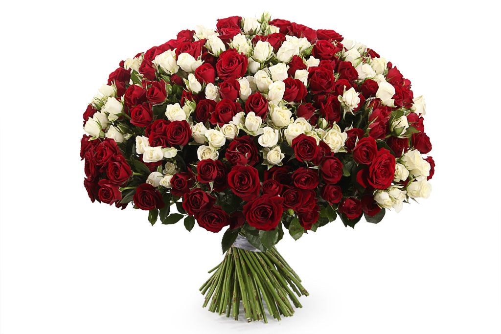 Букет 101 кустовая роза, красно-белый микс бра 421024502 букет белый