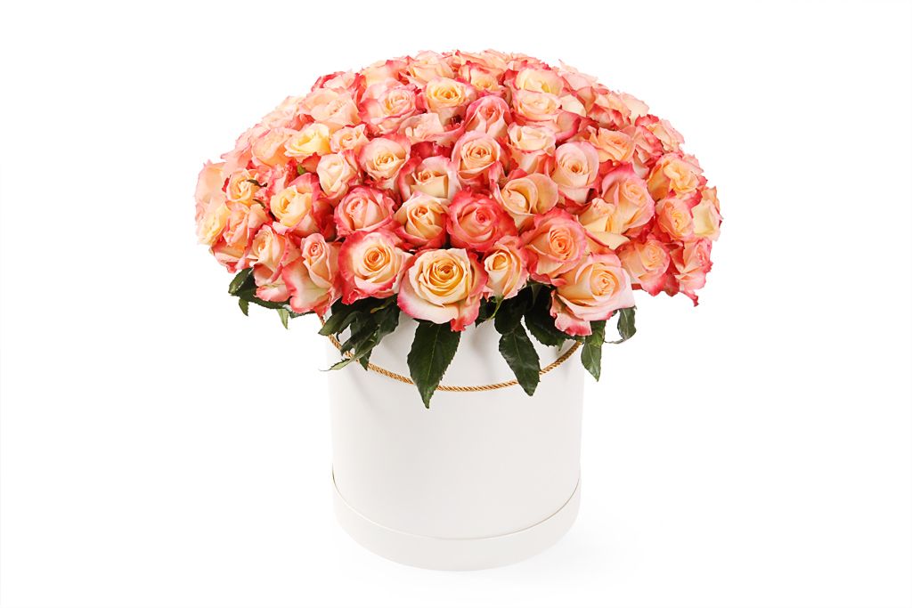 Букет 101 роза Кабаре в шляпной коробке шляпная коробка белая 10 х 10 см