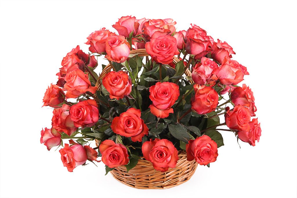 Букет 51 роза Игуана в корзине постельное белье евро перкаль букет чувств арт 4276чн