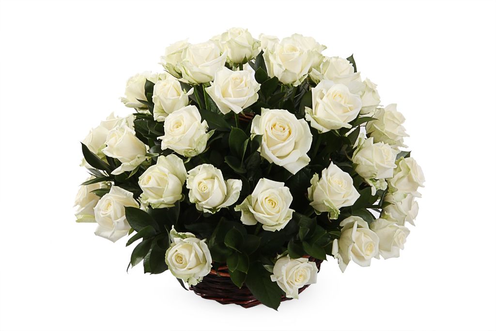 Букет 51 роза Аваланш в корзине комплект аваланш размер 2 0 спальный с простыней 160 см