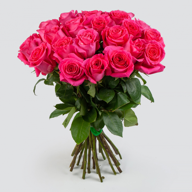 Букет 25 роз Пинк Флойд (Эквадор), 60 см