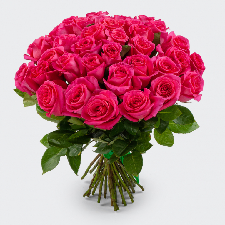 Букет 35 роз Пинк Флойд (Эквадор), 60 см