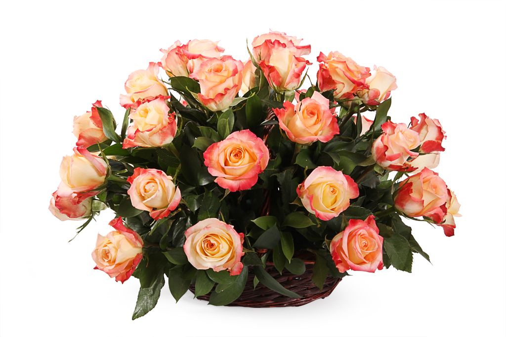 Букет 35 роз Кабаре в корзине пеларгония кабаре f2 смесь окрасок