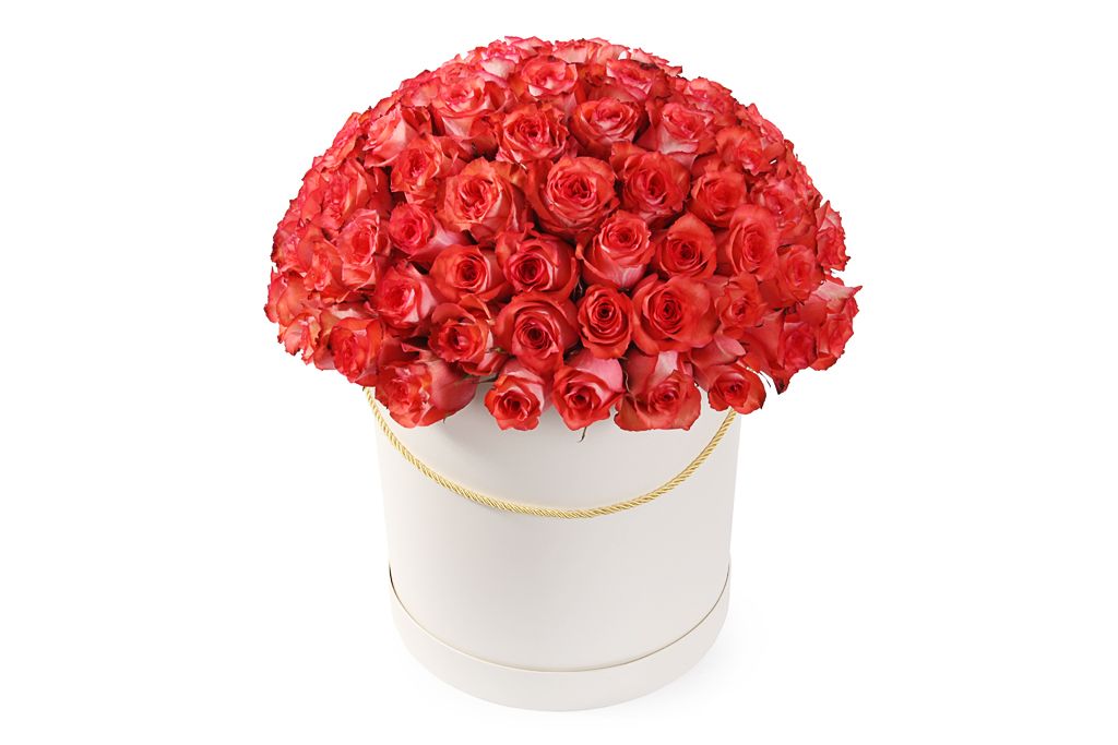 Букет 101 роза Игуана в шляпной коробке шляпная коробка розовая 10 х 10 см