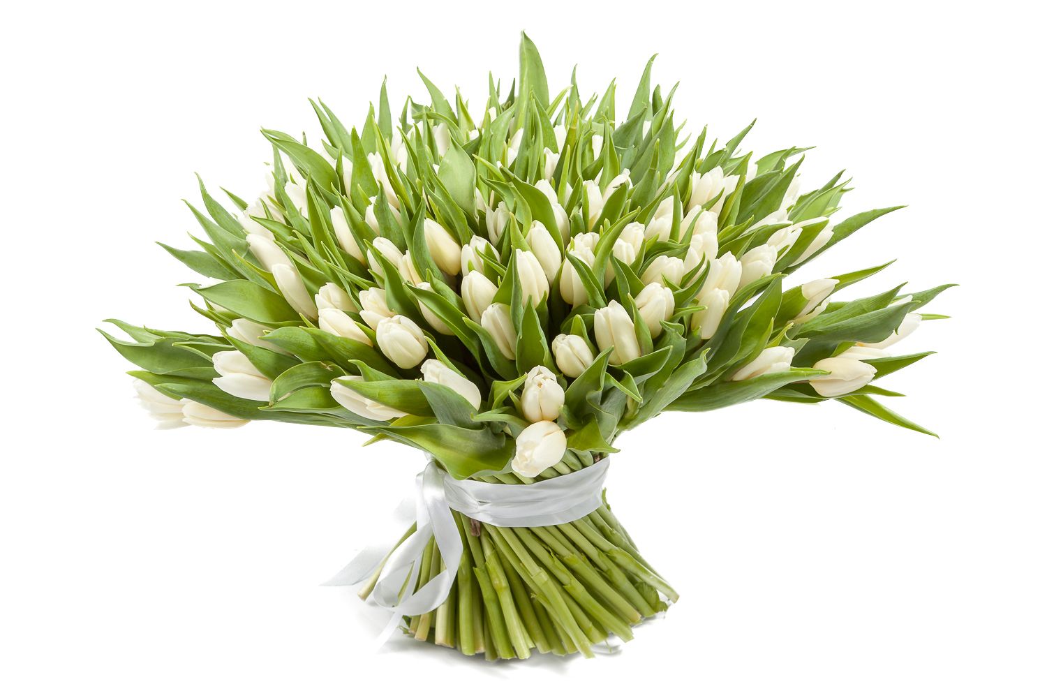 Букет 151 тюльпан, белые семечки от мартина отборные белые соленые 100 г