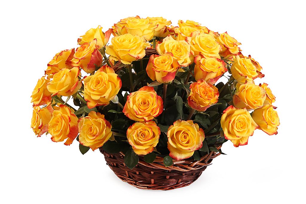 букет искусственный 44 см тэп желтый тюльпаны tulip garden Букет 51 роза Хай Еллоу в корзине