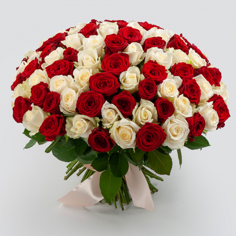 Букет 101 роза красно-белый микс (40 см) букет в кашпо классический роман