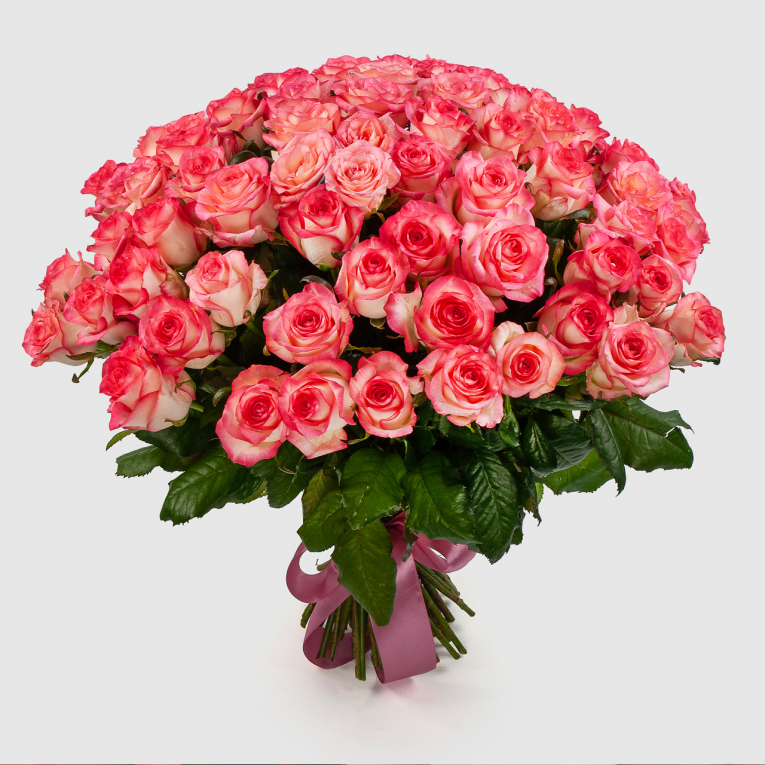 Букет из 75 роз Розовая лагуна
