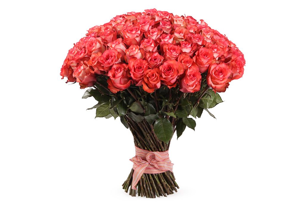 Букет 101 роза Игуана, коралловая букет в корзине самая желанная