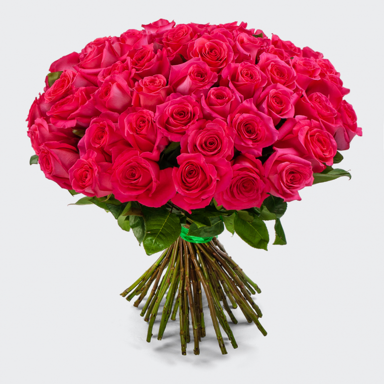 Букет 51 роза Пинк Флойд (Эквадор), 60 см