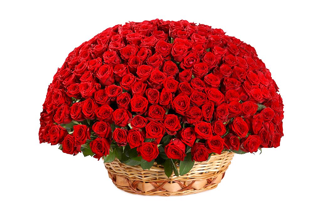 Букет 251 красная роза в корзине вербена алая с глазком фламенко f1 евросемена