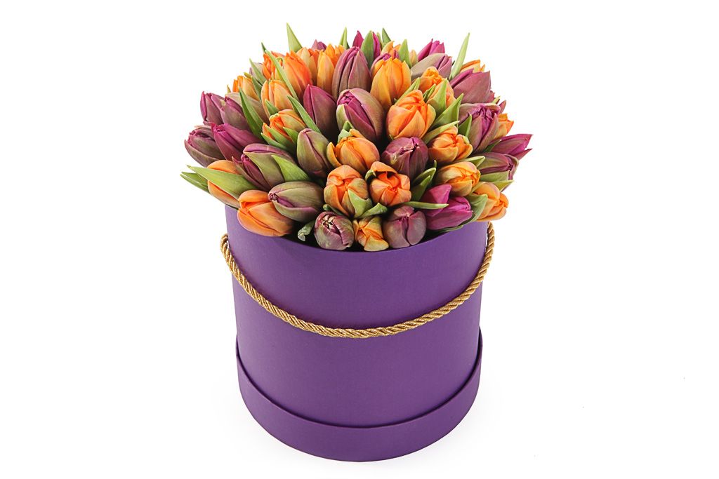 Букет 51 королевский тюльпан в коробке, оранжево-пурпурный микс агератум пурпурный букет