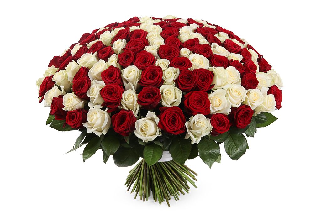 Букет 201 роза красно-белый микс букет лабиринт чувств