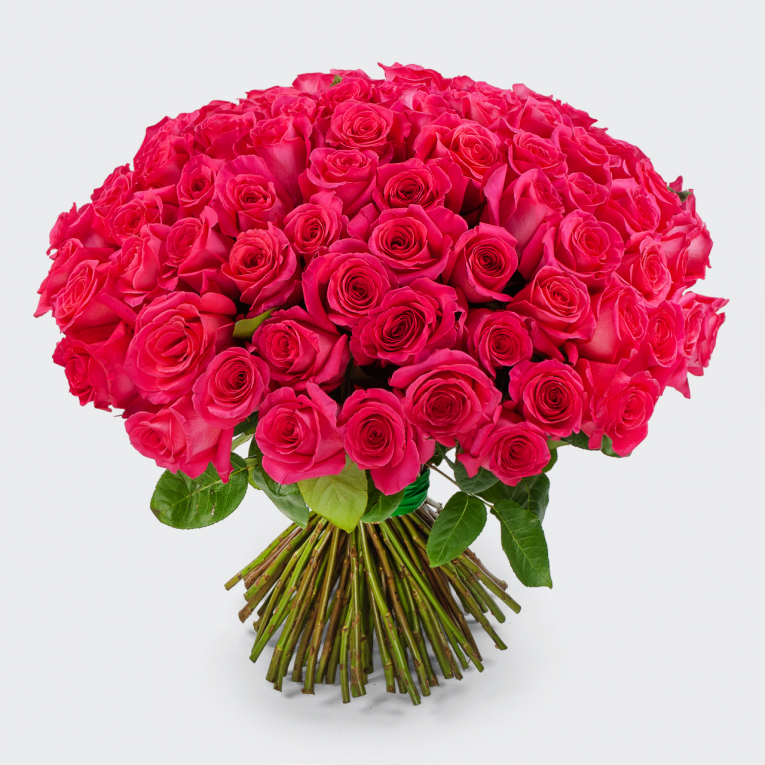 Букет 75 роз Пинк Флойд (Эквадор), 60 см