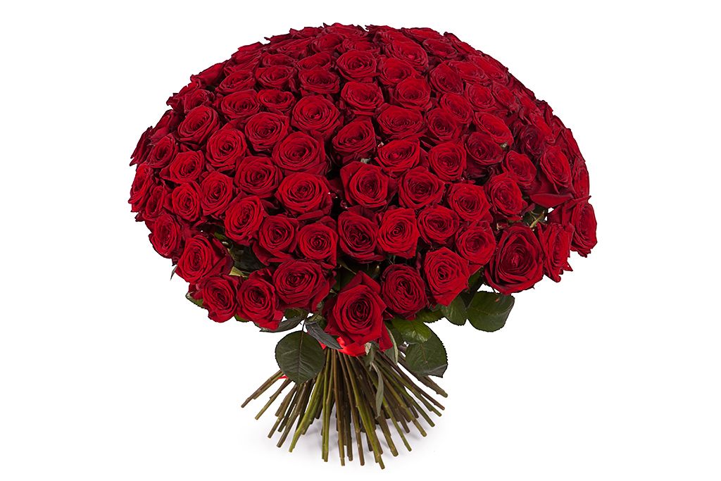 Букет 101 красная роза 60/70 см роза в букете