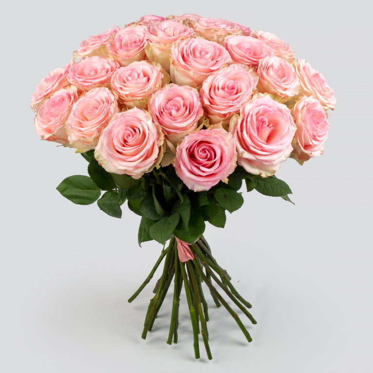 Букет 25 роз Эсперанс (Эквадор), 60 см