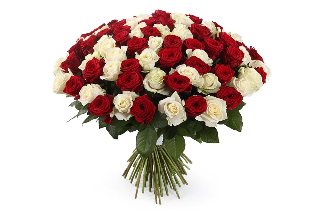 Букет 101 роза красно-белый микс букет 101 пионовидная роза кахала