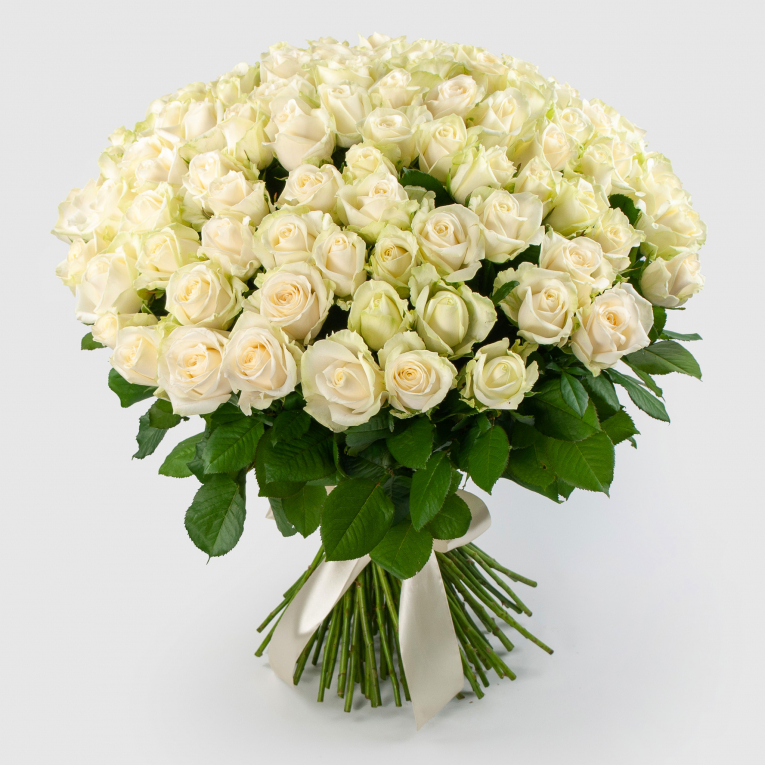 Букет 101 роза Аваланш 60/70 см + Десерт в ПОДАРОК! большой подарок любимой доченьке александров и
