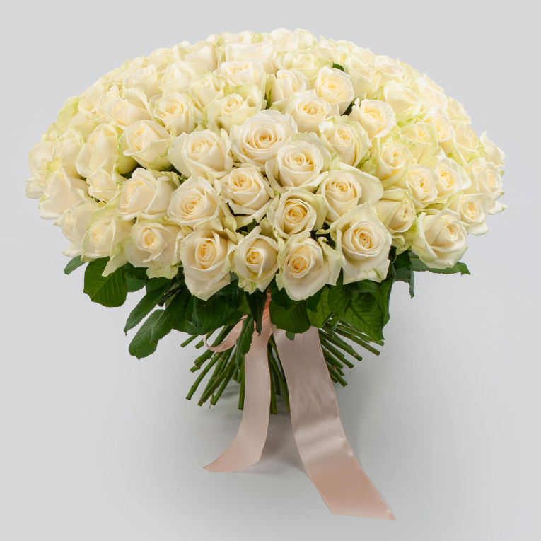 Букет 101 роза Аваланш (40 см)