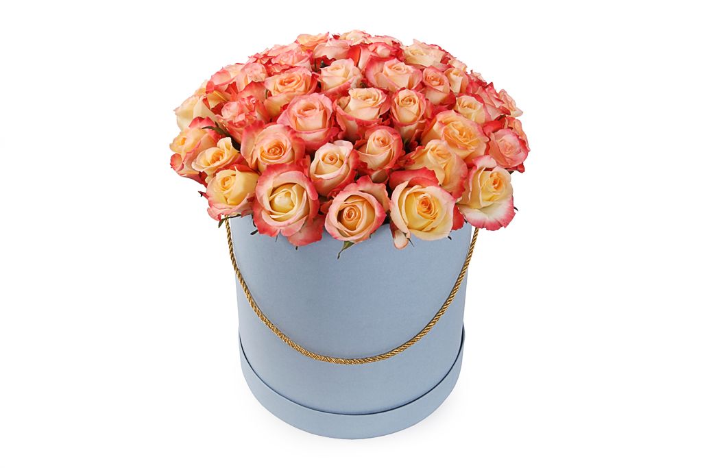 Букет 51 роза Кабаре в шляпной коробке шляпная коробка белая 10 х 10 см