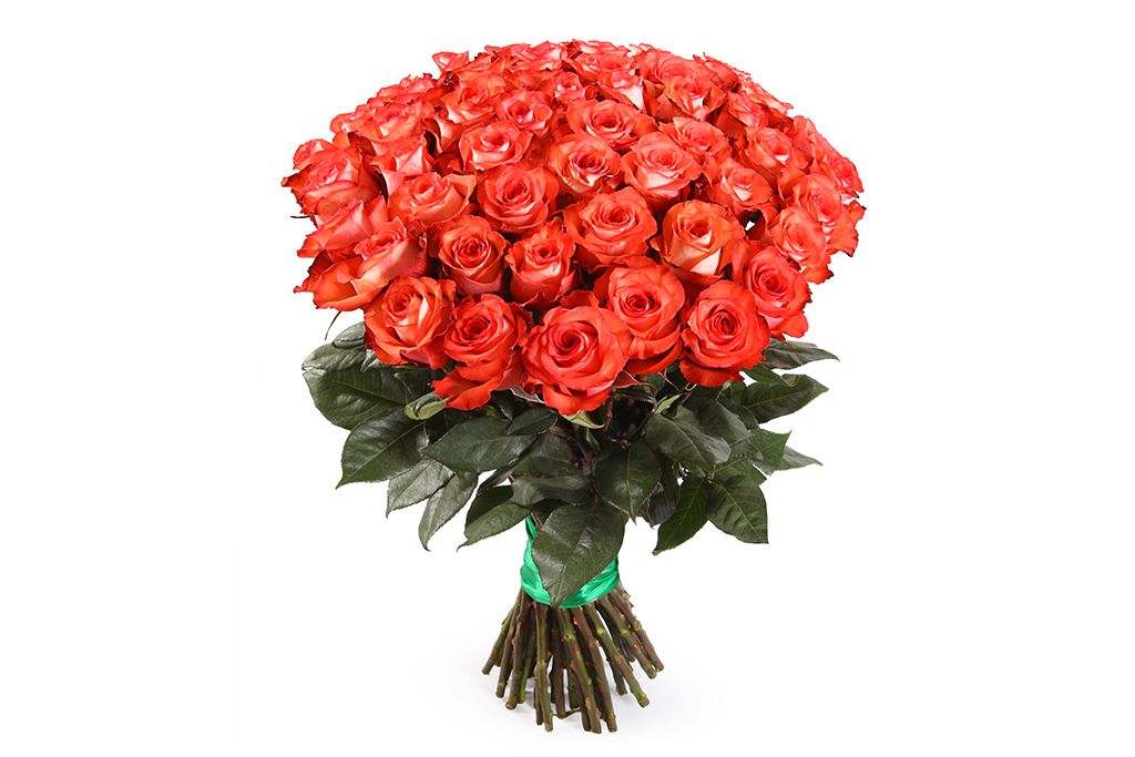 букет из 11 нежно розовых роз сорта фрутетто 60см и 3 белых гипсофилы Букет 51 роза Игуана, коралловая