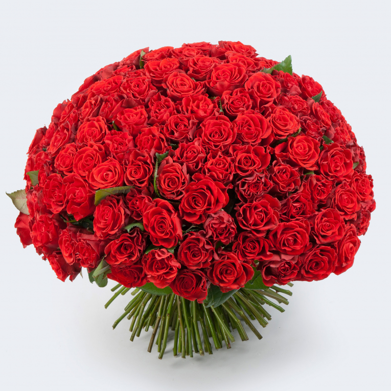 Букет из 151 розы Роковая страсть