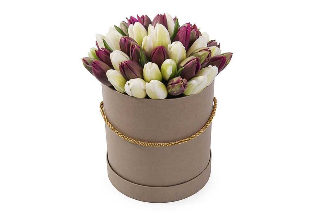 Букет 51 королевский тюльпан в коричневой коробке, бело-пурпурный микс агератум пурпурный букет