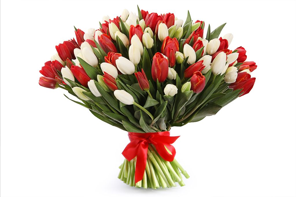 Букет 101 тюльпан, красно-белый микс букет 51 тюльпан весенняя нежность