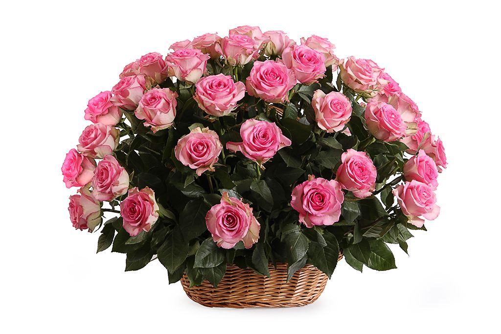 Букет 51 роза Свит Юник в корзине астильба юник кармин