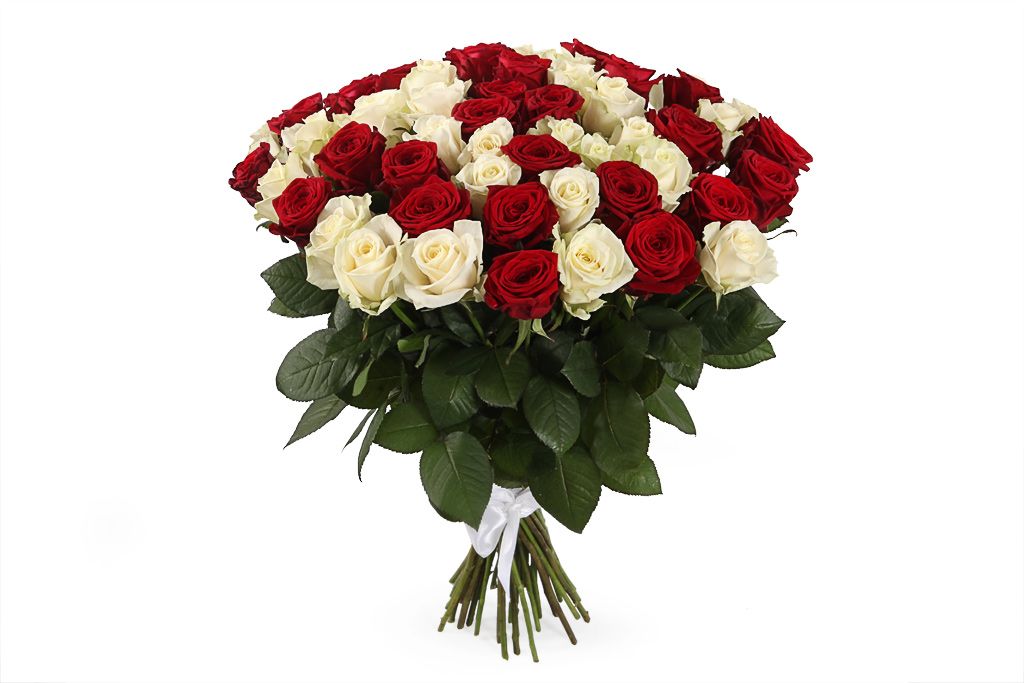 Букет 51 роза красно-белый микс букет 101 пионовидная роза кахала
