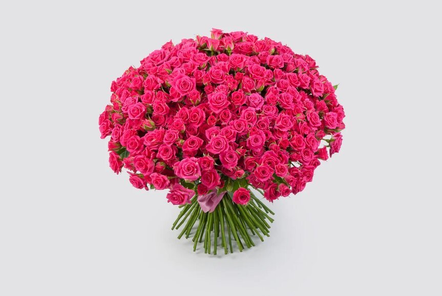Розовые розы