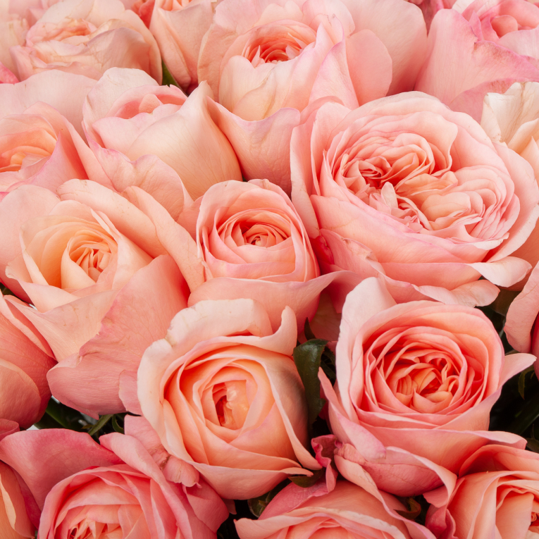 Букет 51 роза Нежное лакомство