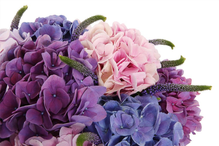 Букет с гортензиями Арлетт в шляпной коробке