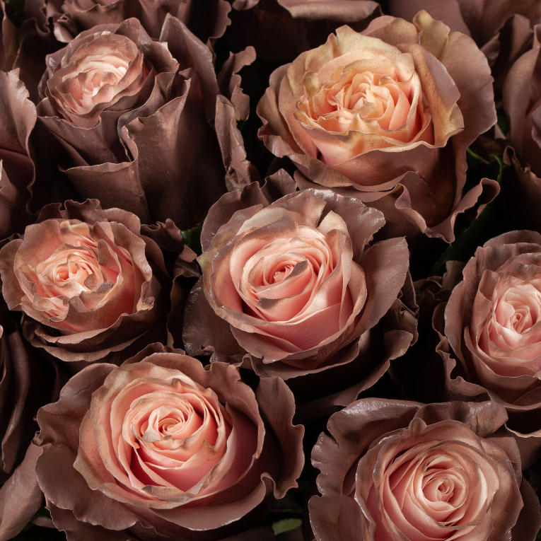 Букет 51 роза Кофе со сливками